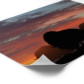 Musk Ox Poster (Ecke)