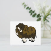 Musk Ox Postkarte (Stehend Vorderseite)