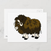 Musk Ox Postkarte (Vorne/Hinten)