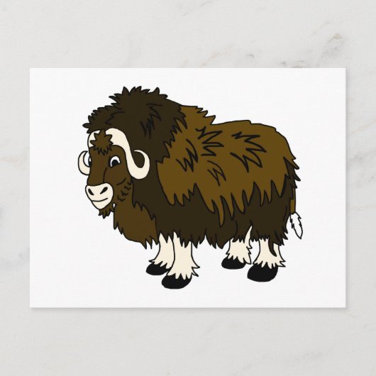 Musk Ox Postkarte (Vorderseite)