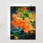 Musk Postkarte (Vorne/Hinten)