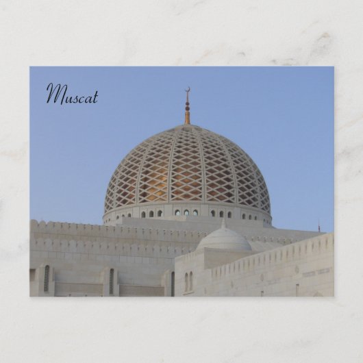 Muskatkater Postkarte (Vorderseite)