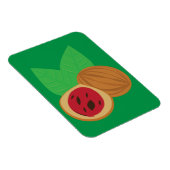 Muskatnuss Magnet (Rechte Seite)