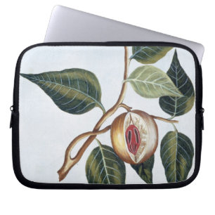 Muskatnuss, Platte 7, 'von der Sammlung Precieuse Laptopschutzhülle
