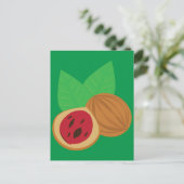 Muskatnuss Postkarte (Stehend Vorderseite)