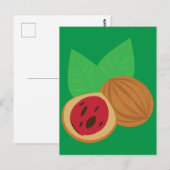 Muskatnuss Postkarte (Vorne/Hinten)