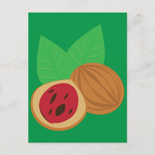 Muskatnuss Postkarte (Vorderseite)