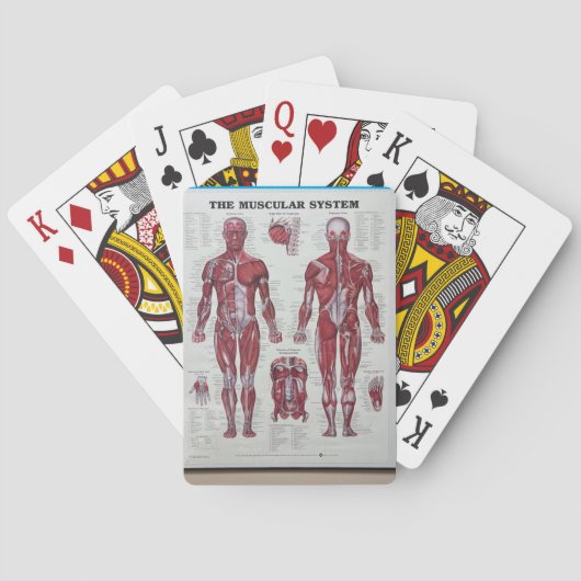Muskel am Körper, der Karten spielt Spielkarten (Rückseite)