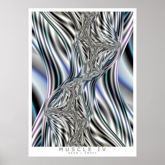 MUSKEL IV POSTER (Vorne)