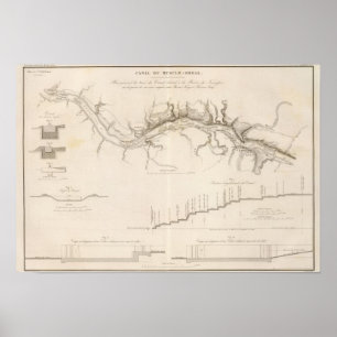 Muskel-Massen Poster