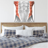 Muskelanatomie der Bauchwand Leinwanddruck (Insitu (Schlafzimmer))