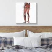 Muskelanatomie der menschlichen Legen 1 Leinwanddruck (Insitu (Schlafzimmer))
