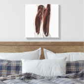 Muskelanatomie der menschlichen Legen, Seitenansic Leinwanddruck (Insitu (Schlafzimmer))