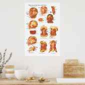 Muskelanatomie des Gesichtes und des Nackenkartes Poster (Küche)