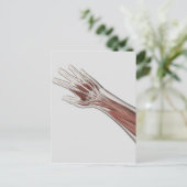 Muskelanatomie des menschlichen Arms und der Hand Postkarte (Stehend Vorderseite)