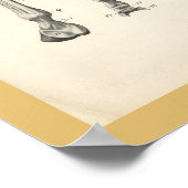 Muskelanatomie Druck Poster (Ecke)