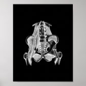 Muskelanatomie in Schwarz-Weiß-Print Poster (Vorne)