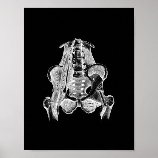 Muskelanatomie in Schwarz-Weiß-Print Poster (Vorne)
