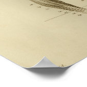 Muskelanatomie Vintag Poster (Ecke)