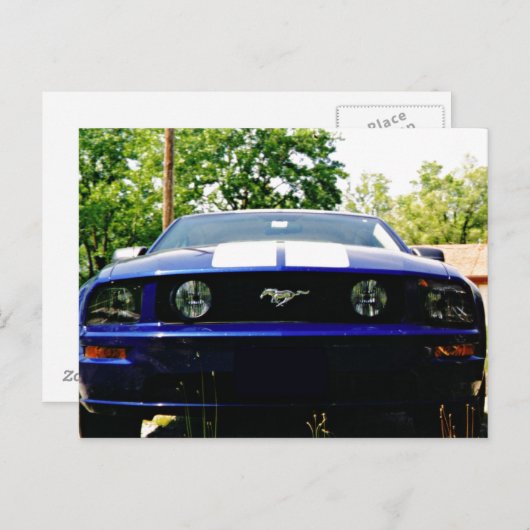 Muskelauto - Shelby blue Postcard Postkarte (Vorne/Hinten)