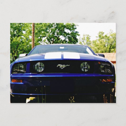 Muskelauto - Shelby blue Postcard Postkarte (Vorderseite)