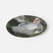 Muskelente und -ente pappteller (Schrägansicht)