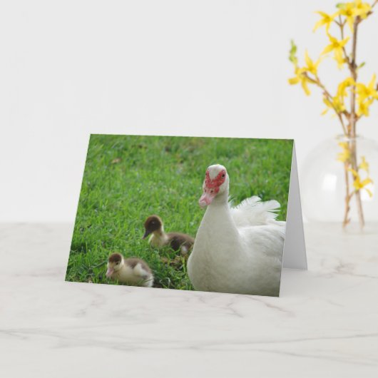 Muskelhaufen und Entenlein Karte (Gelbe Blume)