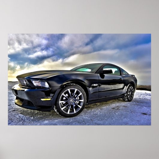 Muskelkater Mustang Poster (Vorne)