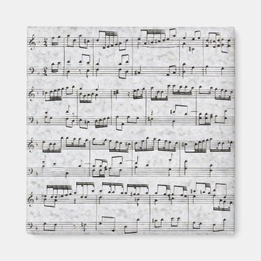 Muskelkraft Magnet (Vorne)