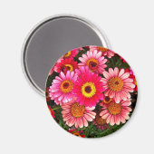 Muskelkreislauf Magnet (Vorderseite/Rückseite)