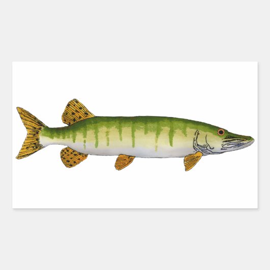 Muskellunge (Muskie) Rechteckiger Aufkleber (Vorderseite)