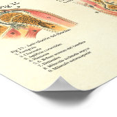 Muskeln Anatomie Músculos Anatomie Spanische Grafi Poster (Ecke)