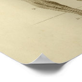 Muskeln Arterien Anatomie Drucken Vintag Poster (Ecke)