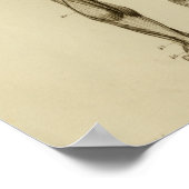 Muskeln der Anatomie der Rückseite Poster (Ecke)