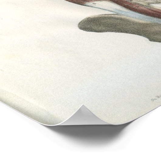 Muskeln der Wirbelsäule Druck Poster (Ecke)