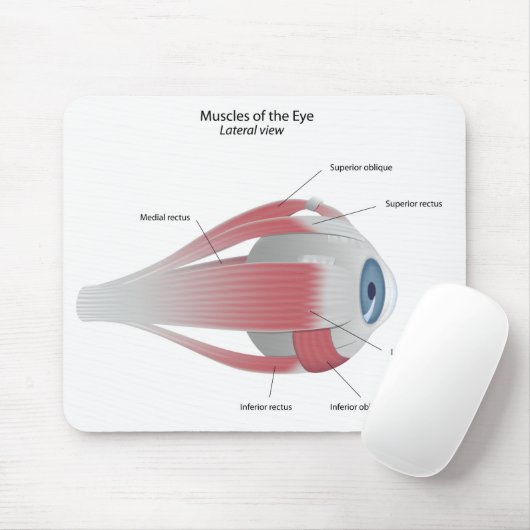 Muskeln des Auges Mousepad (Mit Mouse)
