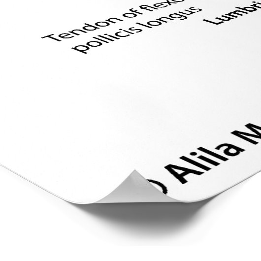 Muskeln des ganzen Arms, gekennzeichnet zeichnend. Poster (Ecke)