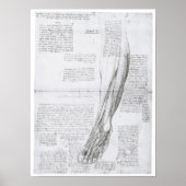 Muskeln des Leg, Leonardo Da Vinci Poster (Vorne)