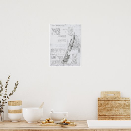 Muskeln des Leg, Leonardo Da Vinci Poster (Küche)