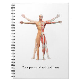 Muskeln des menschlichen Körpers - Notebook Notizblock
