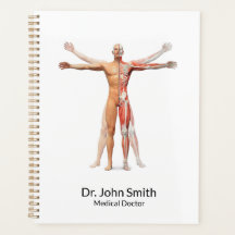 Muskeln des menschlichen Körpers