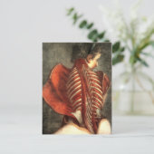 Muskeln des Rückens in einem Weibchen Postkarte (Stehend Vorderseite)