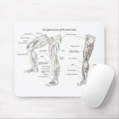 Muskeln des unteren Körpers Mousepad (Mit Mouse)