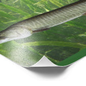 Muskeln Fotodruck (Ecke)