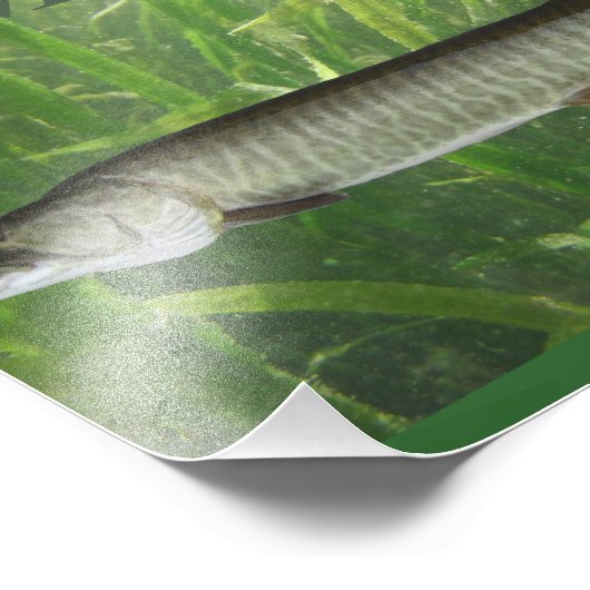 Muskeln Fotodruck (Ecke)