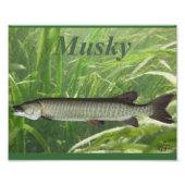 Muskeln Fotodruck (Vorne)