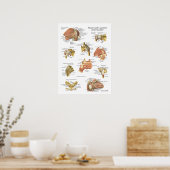 Muskeln Ligamente der Schulteranatomie Diagramm Poster (Küche)