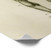 Muskeln Nachstehend Vintage Anatomie Poster (Ecke)