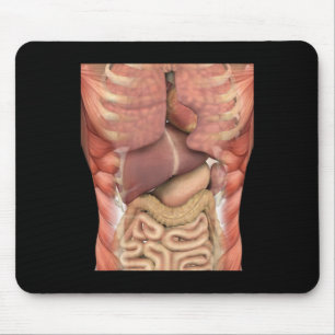 Muskeln organisieren Beängstigende Anatomie Lehrer Mousepad