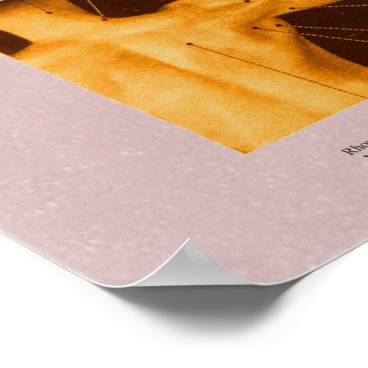 Muskeloberfläche Anatomie Poster Back & Shoulder (Ecke)